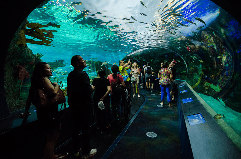 Ripley’s Aquarium of Canada
