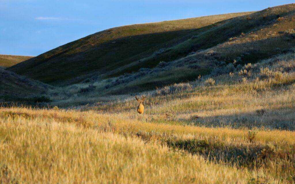 Things to do in Saskatchewan