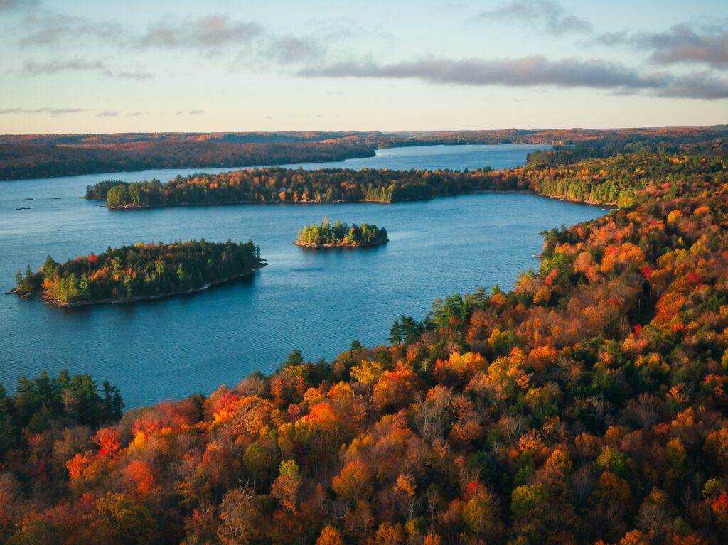 Things To Do in Elora